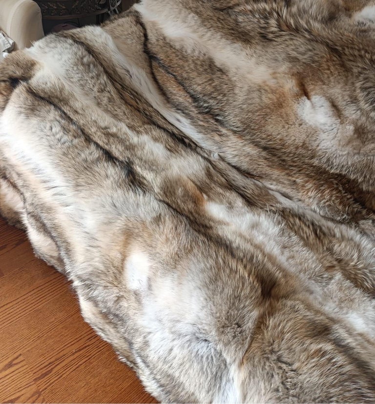Hudson Bay coyote Fur Blanket (huge throw 90"x60") ~no duties